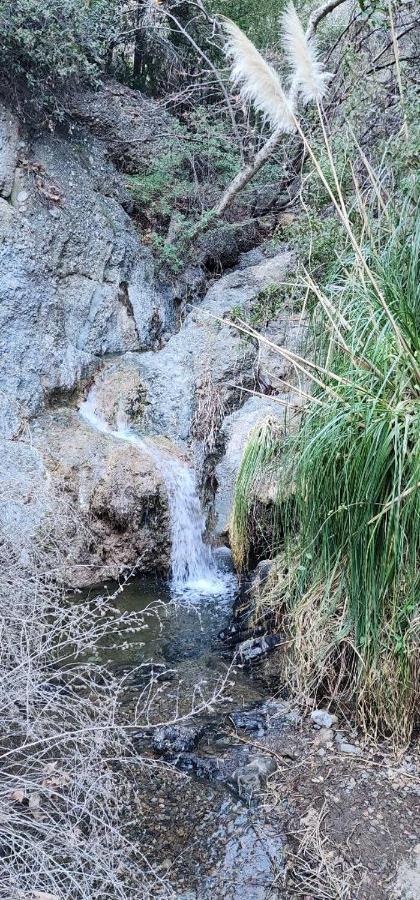 Heaven'S Best Kept Secret 4 Min From The Sea Los Angeles Eksteriør bilde